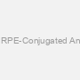 Human ACAT2 AssayLite RPE-Conjugated Antibody Flow Cytometry Kit